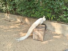-秦皇岛野生动物园