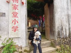 -杨家堂村
