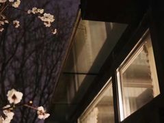 -八大山人梅湖景区