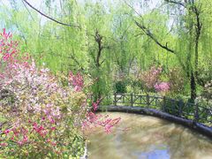 -南汇桃花村