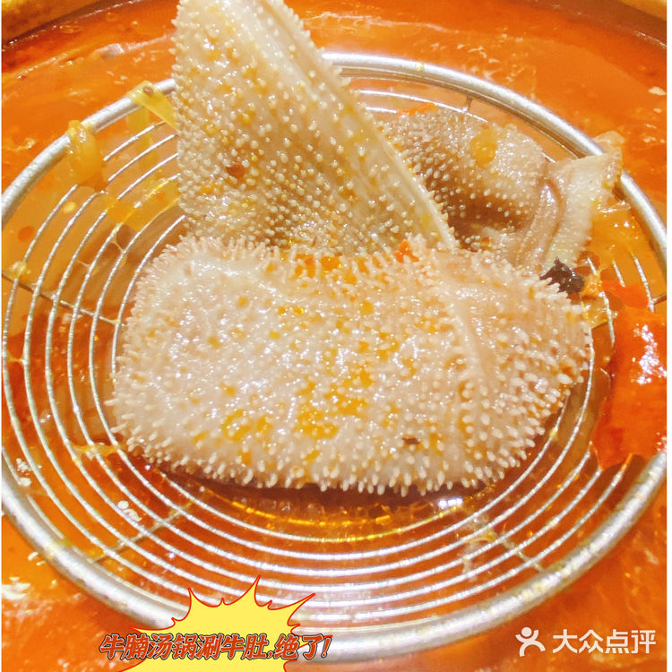 南山🔥排队两小时都要尝试的美食//🍲牛百鲜·牛腩煲火锅‼️