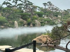 -罗红摄影艺术馆