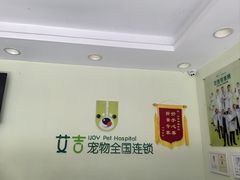 -艾吉宠物医院·疑难杂症转诊中心·猫友好(碧江路院)