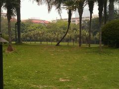 -东风公园