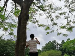 -南沙蒲洲花园