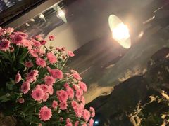 -Apollo·西班牙小酒馆(安福路店)