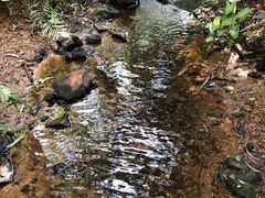 -滴水岩森林公园