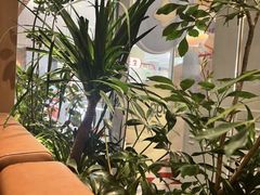 -gaga(深圳福田星河COCO Park店)