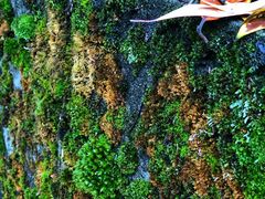 -西南交通大学(峨眉校区)