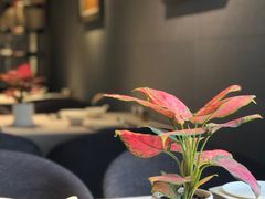 -一澜江宴·江景地标楚菜(江滩公园店)
