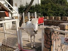 -金庭庄园酒店-停车场