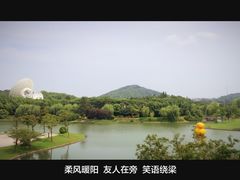 -佘山世茂艾美·御珍轩中餐厅