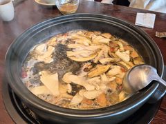 -滇野云南野生菌餐厅(陕西南路店)