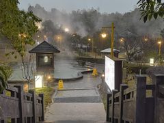 -洪湖悦兮半岛国际温泉度假村