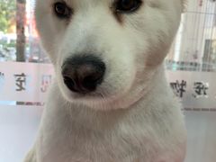 -全心全意连锁动物医院(石景山店)