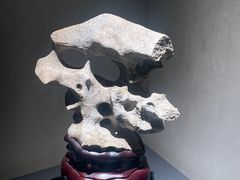 -觀芷隐轩