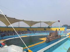 -秦皇岛乐岛海洋王国