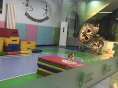 -酷迈儿童体能运动馆(九棵树店)