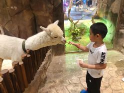 -宝燕乐园(闵行旗舰店)