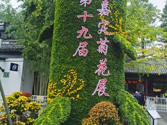 -汇龙潭
