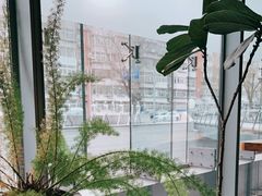-半山腰·云南菜(侨福芳草地店)