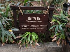 -龙达温泉生态城