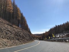 -塞罕坝国家级自然保护区