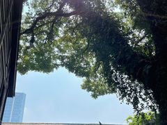 -星巴克(福州三坊七巷店)