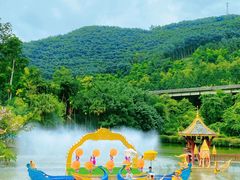 -西双版纳原始森林公园