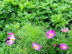 -前小桔亲子创意农场·草莓采摘·露营烧烤