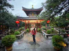 -大唐博相府酒店·陕西官府菜