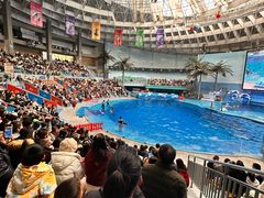 -海合安成都极地海洋公园