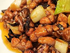 -芙蓉凰花园酒楼