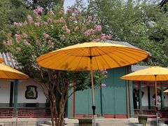 -宫事颐庭·老佛爷贵寿下午茶(颐和园店)