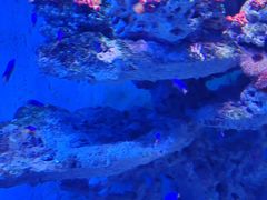 -海合安青岛极地海洋公园