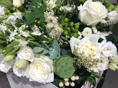 -植物学家的女儿(北马道巷店)