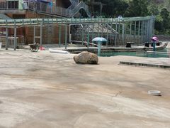 -牛鱼嘴原始生态风景区