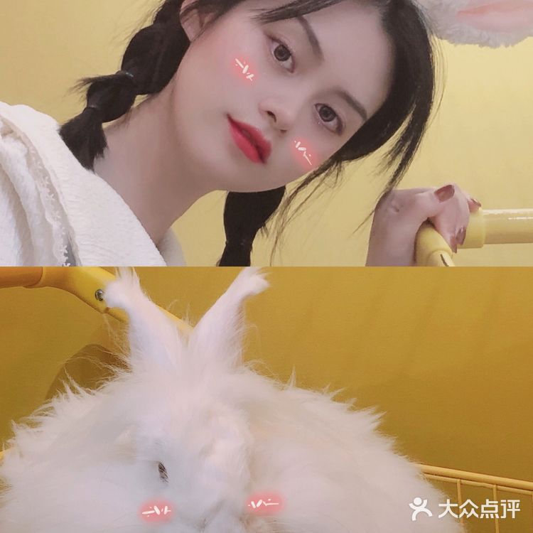 【西安探店】撸兔兔吗?安哥拉巨可爱邀你下午茶呀!