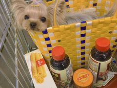 -麦德龙(郑东店)