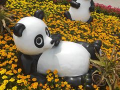 -辛玛王国游乐园