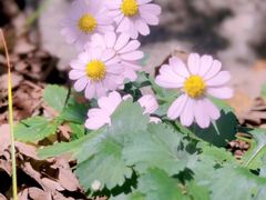 -白草畔自然风景区