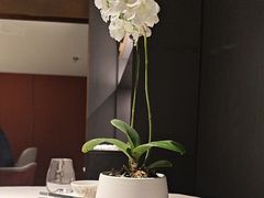 -蘇锦宴·淮扬菜烤鸭·小院(三元桥霄云路店)