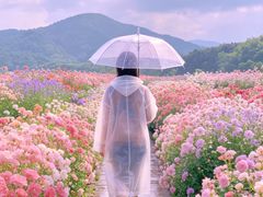 -木兰云雾山