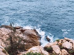 -广东惠东海龟国家级自然保护区