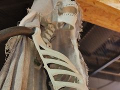 -长藤鬼校(龙翔店)