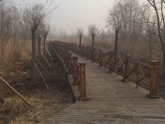 -微山湖红荷湿地景区