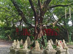 -三水森林公园