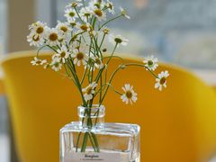 -Blueglass酸奶(财富购物中心店)