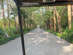 -同里国家湿地公园