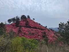 -木兰云雾山